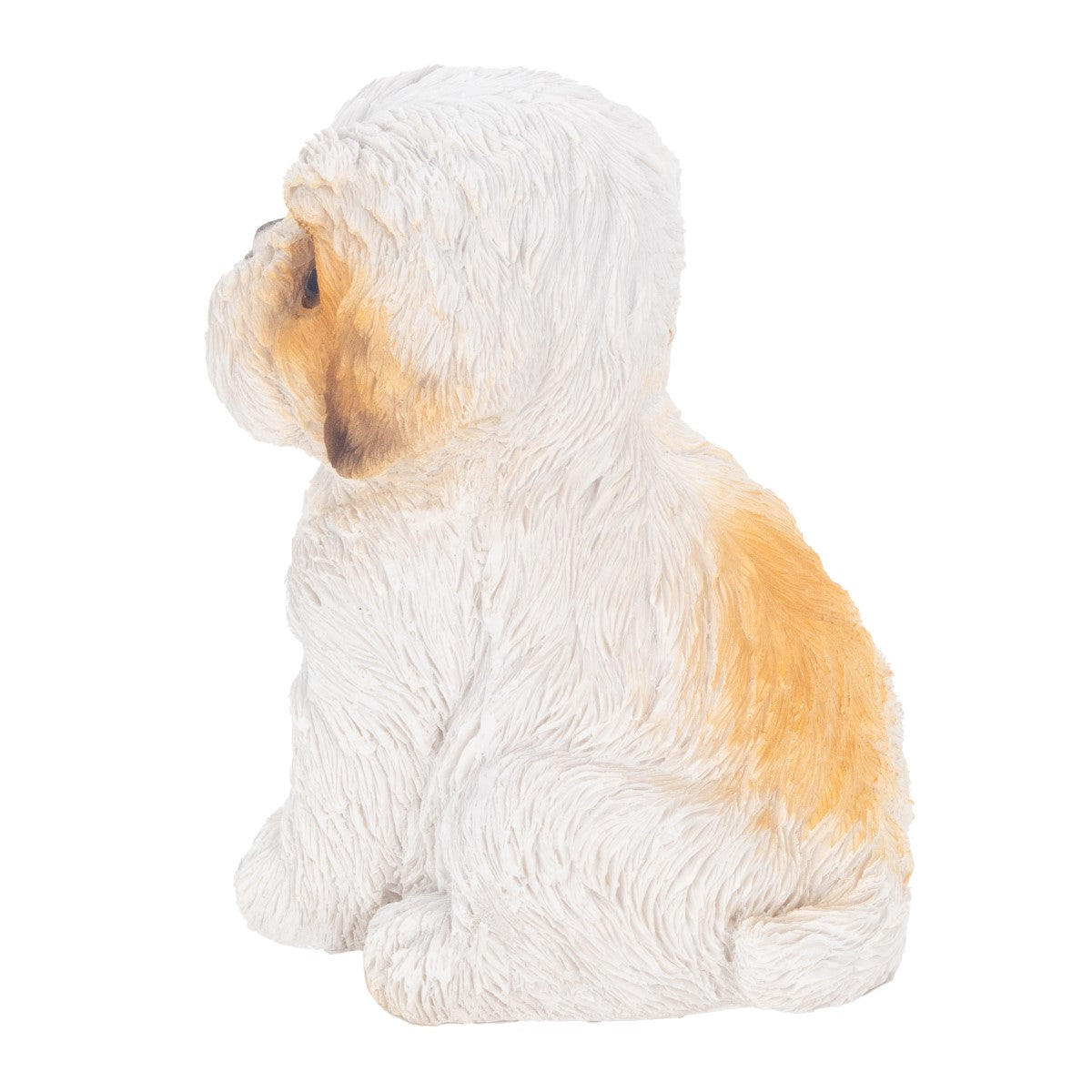 Perro