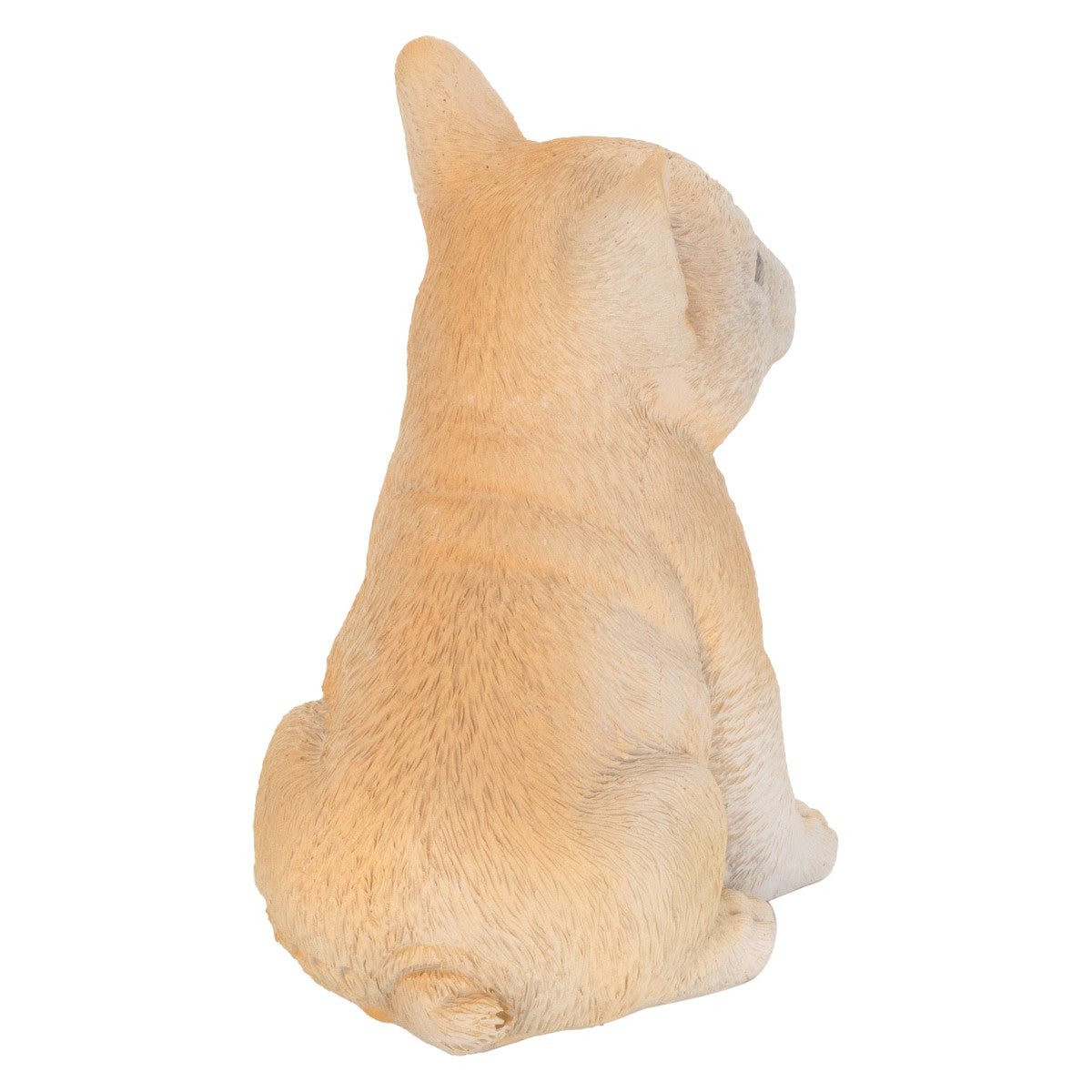 Perro