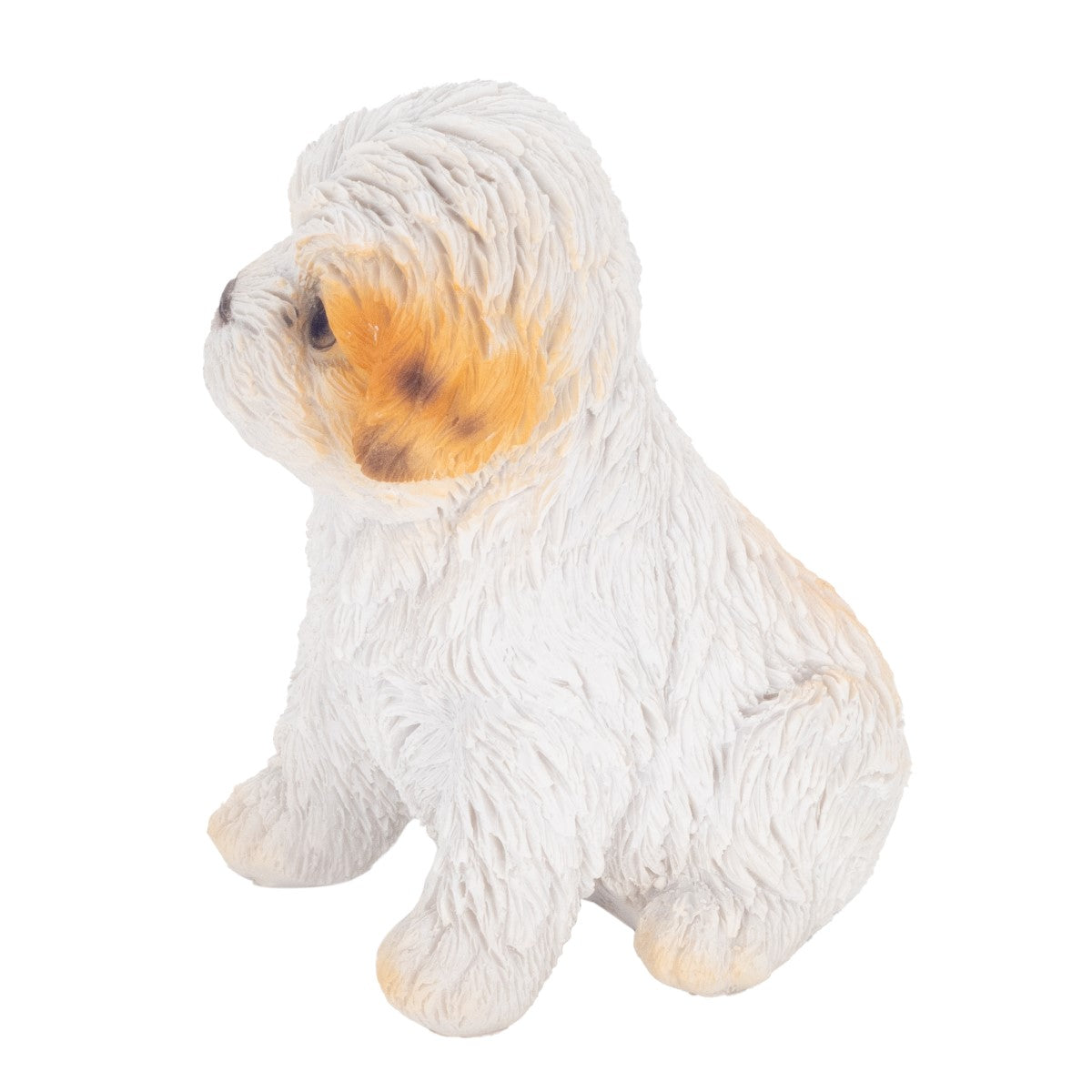Perro