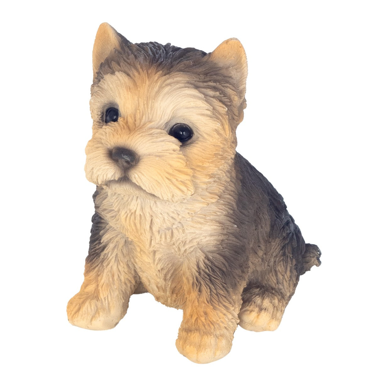 Perro