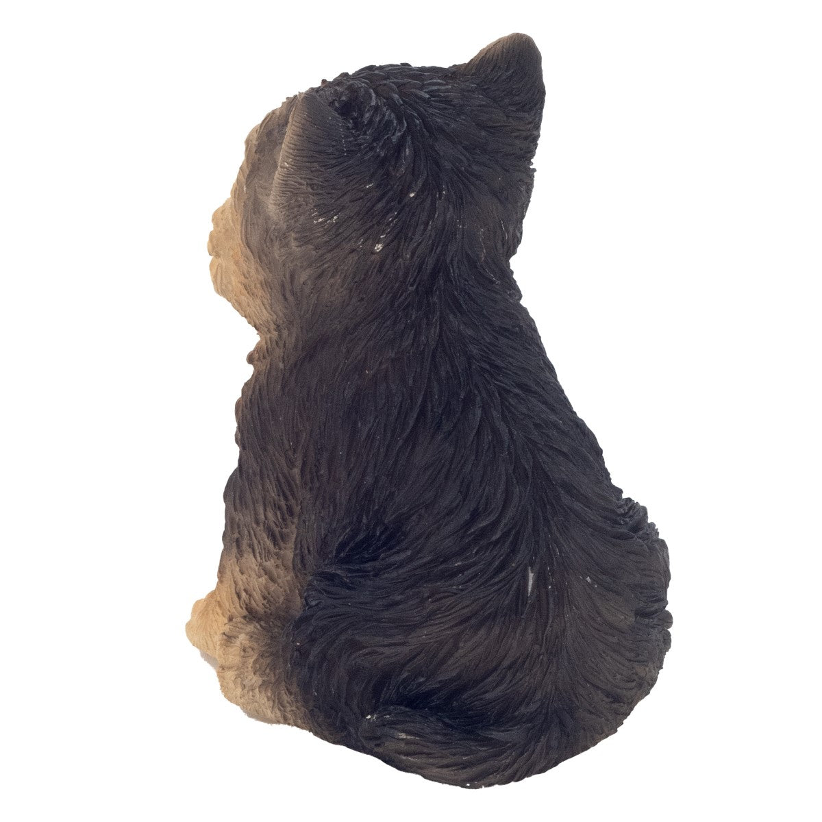 Cachorro