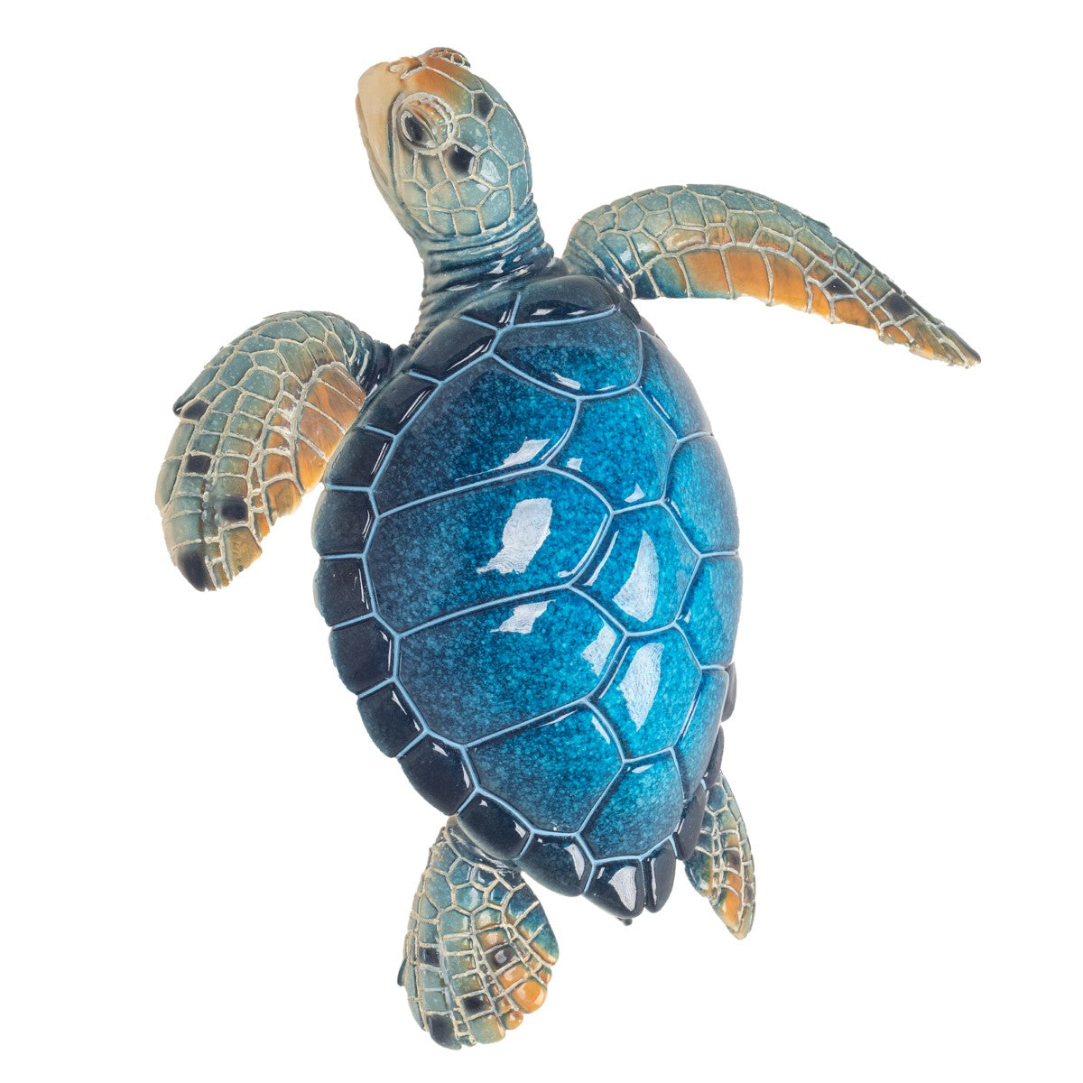 Tortoise