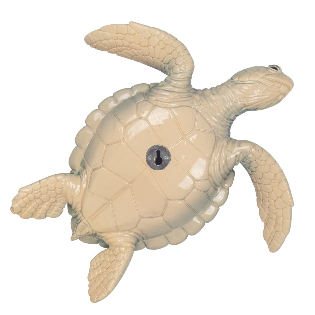 Tortoise