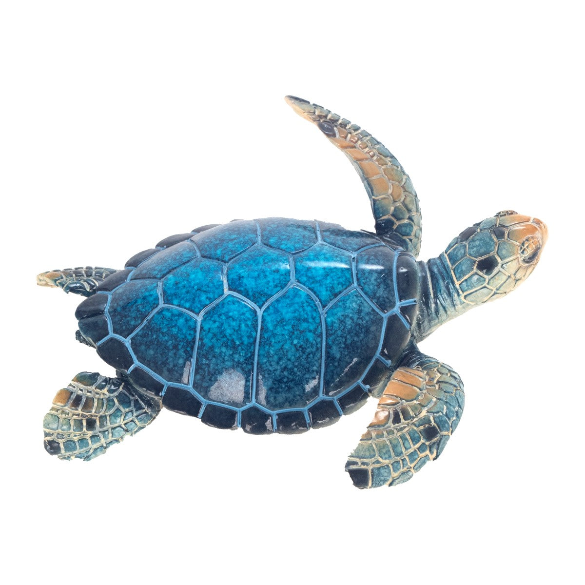 Tortoise