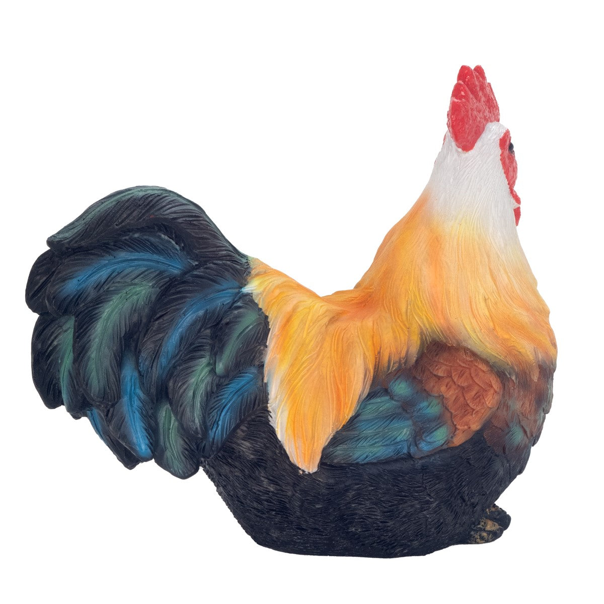 Rooster