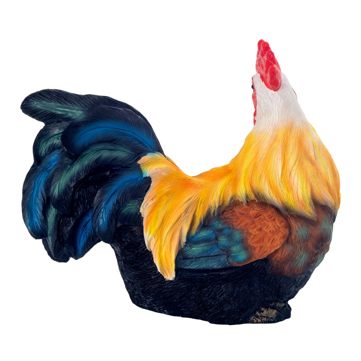 Rooster