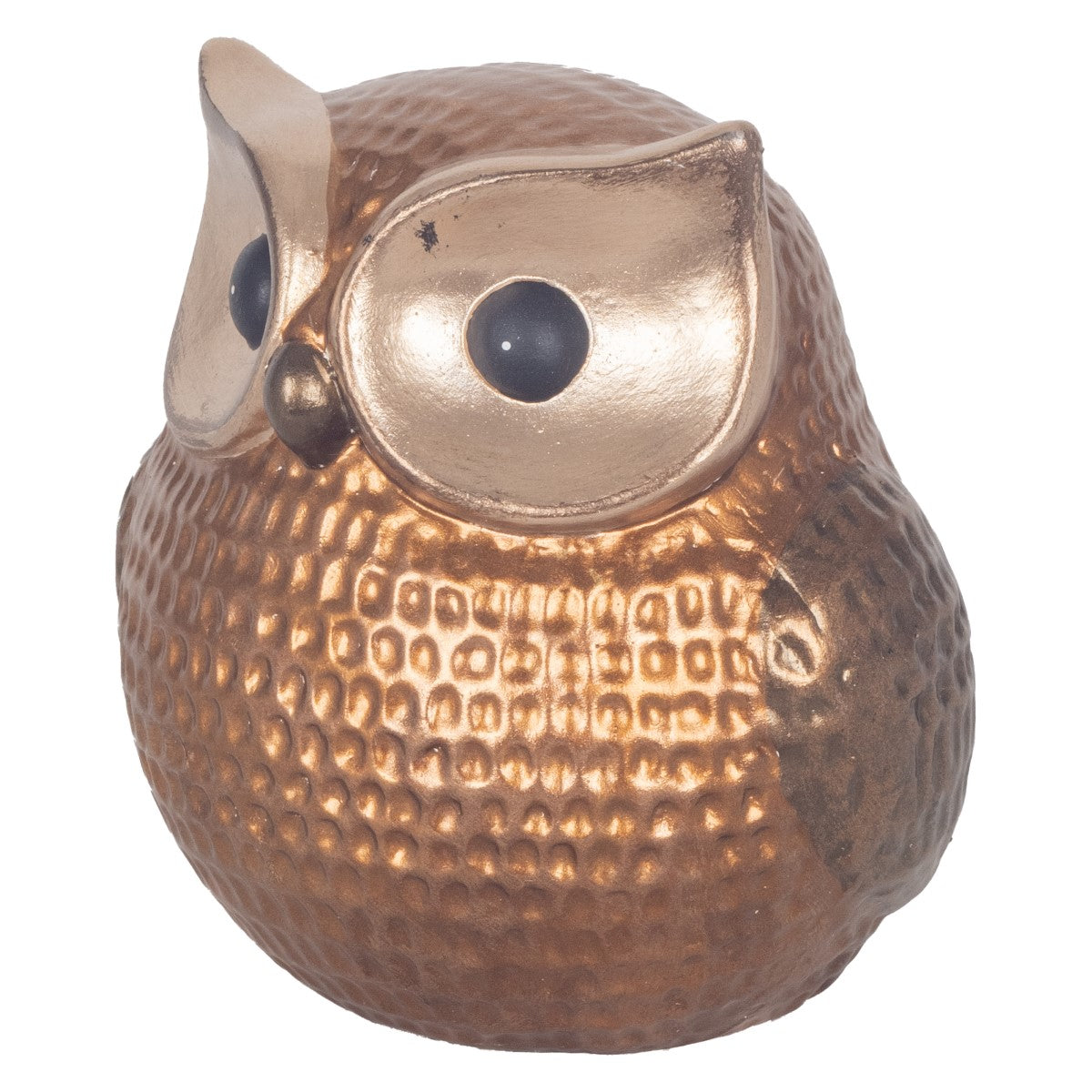 Coruja Gra.