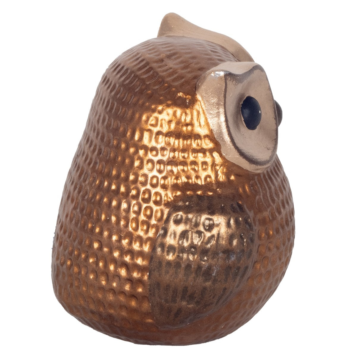 Coruja Gra.