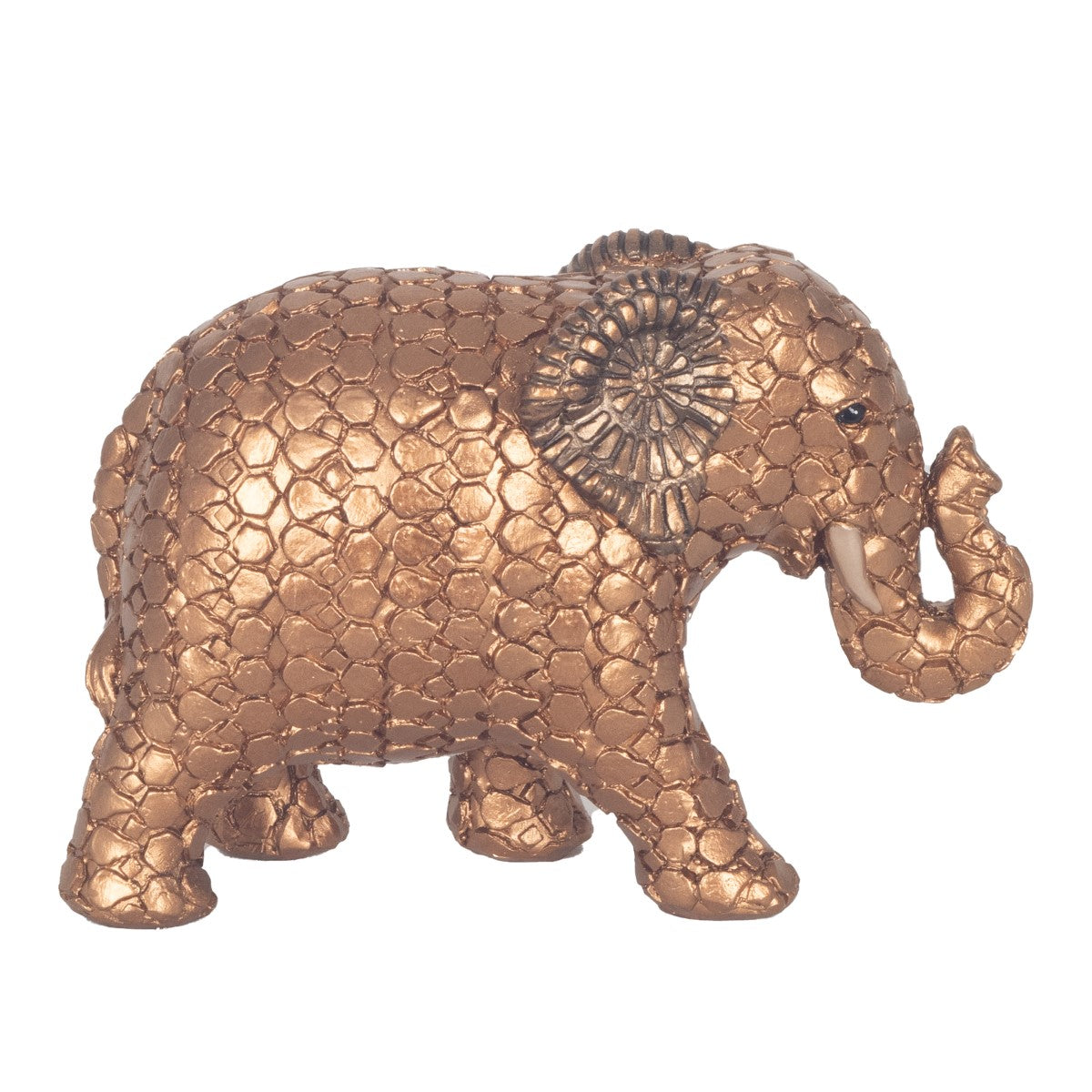 Small Elephant