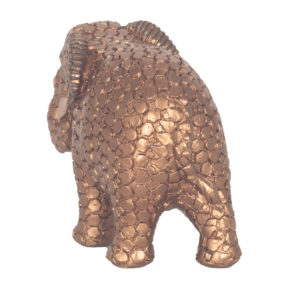 Small Elephant