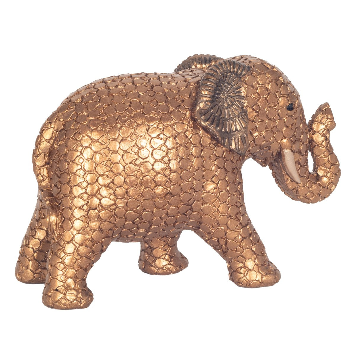 Elephant Gra.