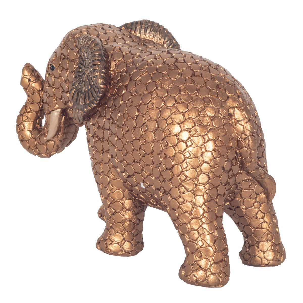 Elephant Gra.