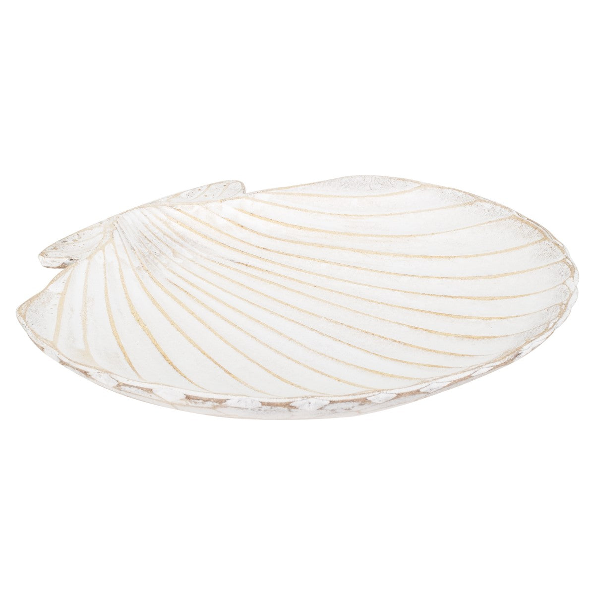 Bandeja Concha