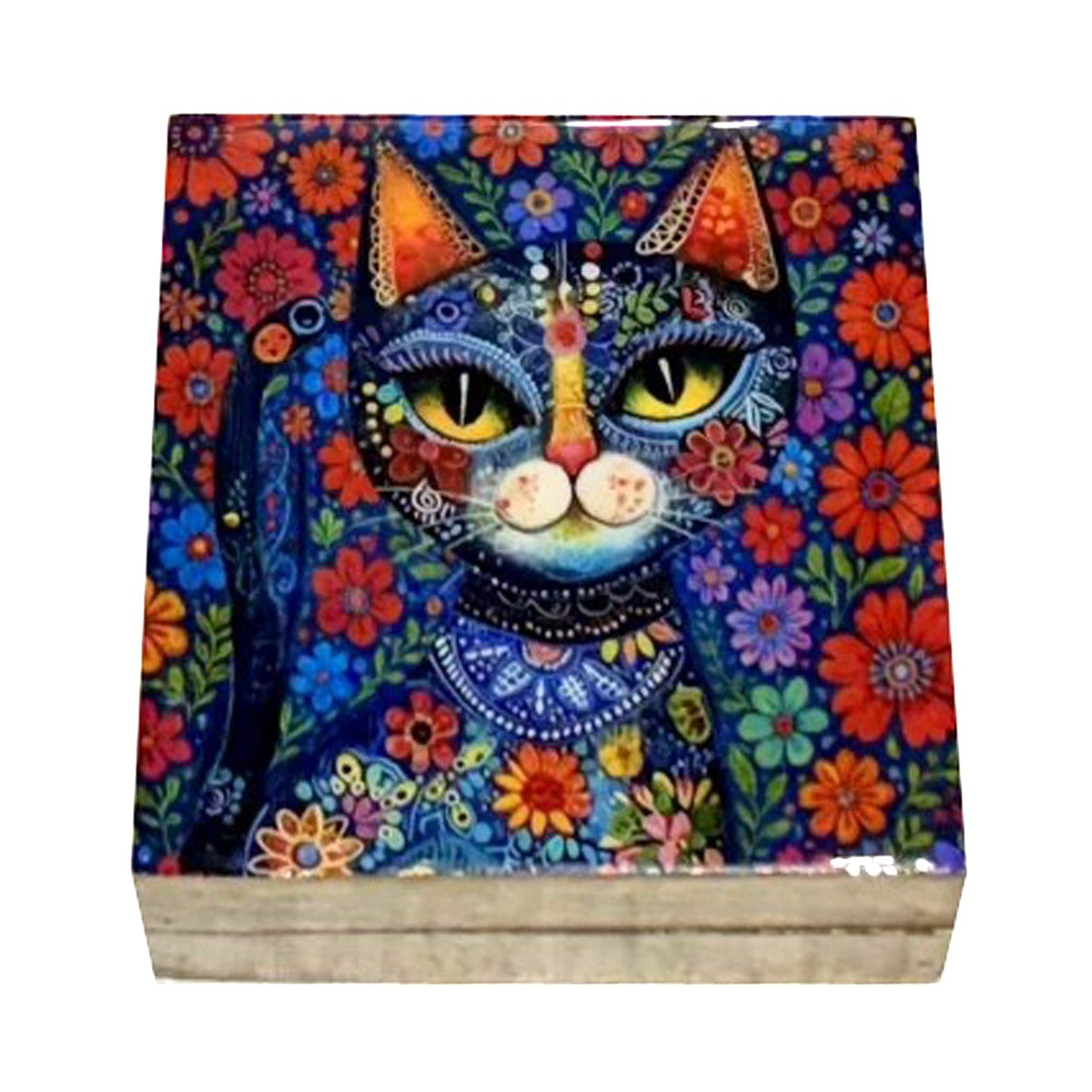 Caja Gato Peq.