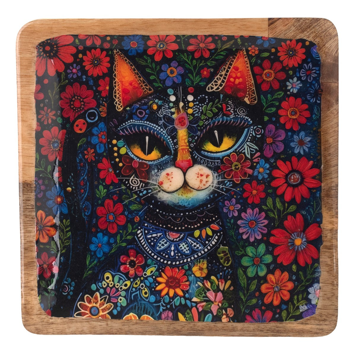Bandeja Gato