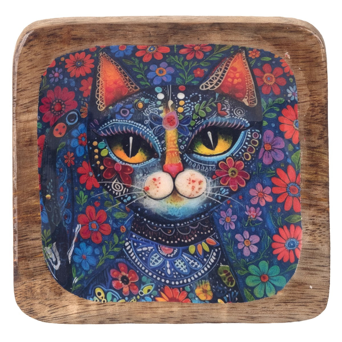 Bandeja Gato