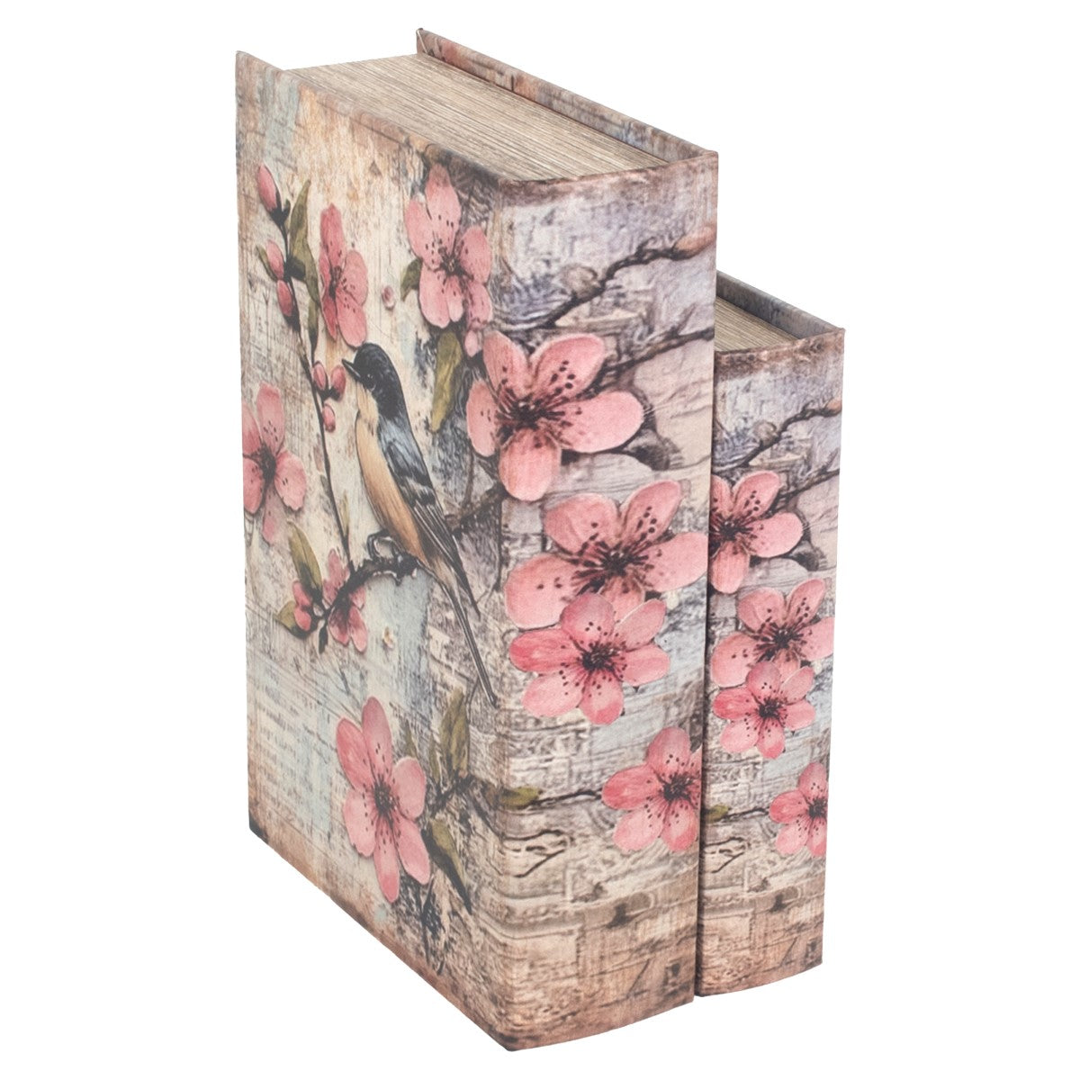 S/2 Caja Libro Pajaro