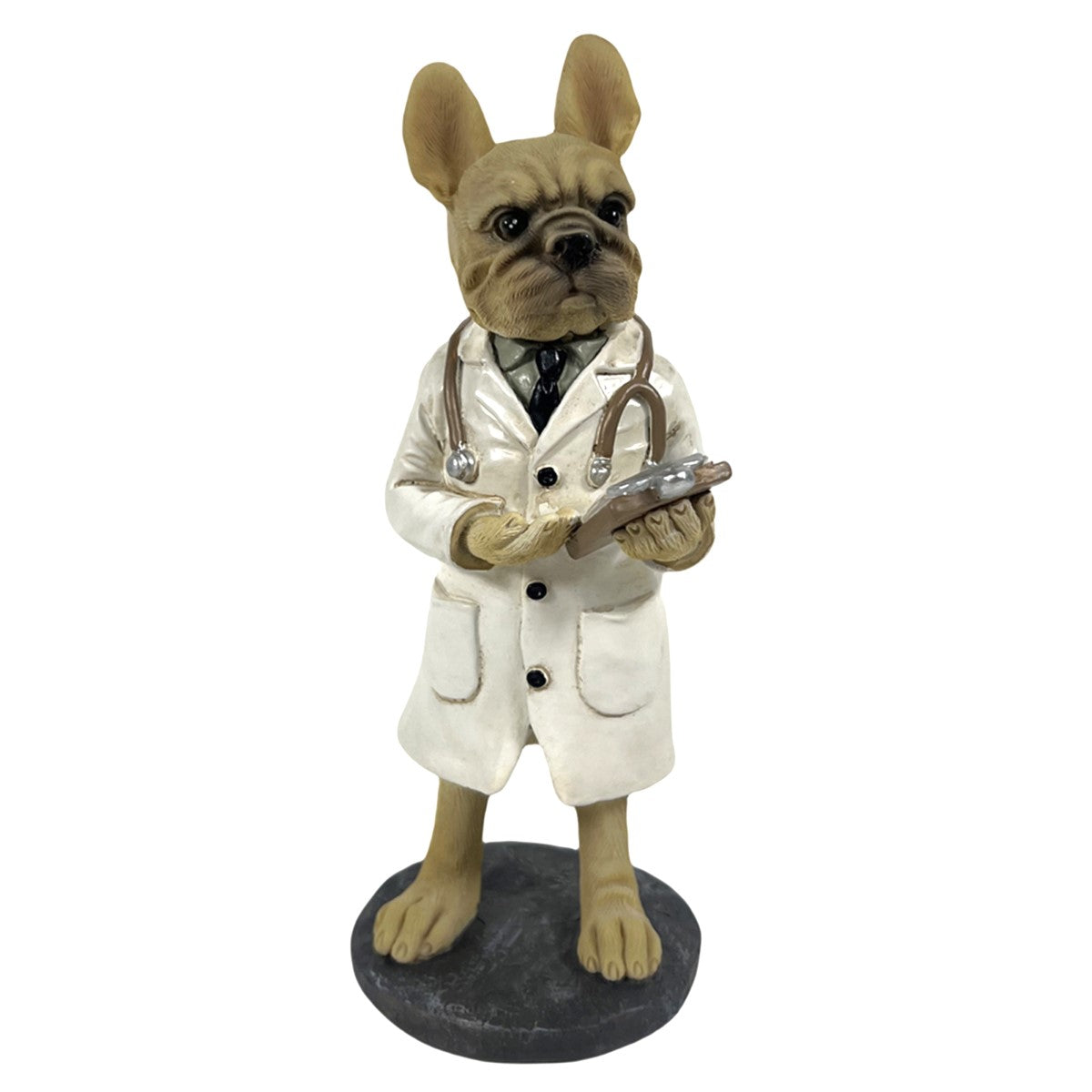 Perro Bulldog Medico