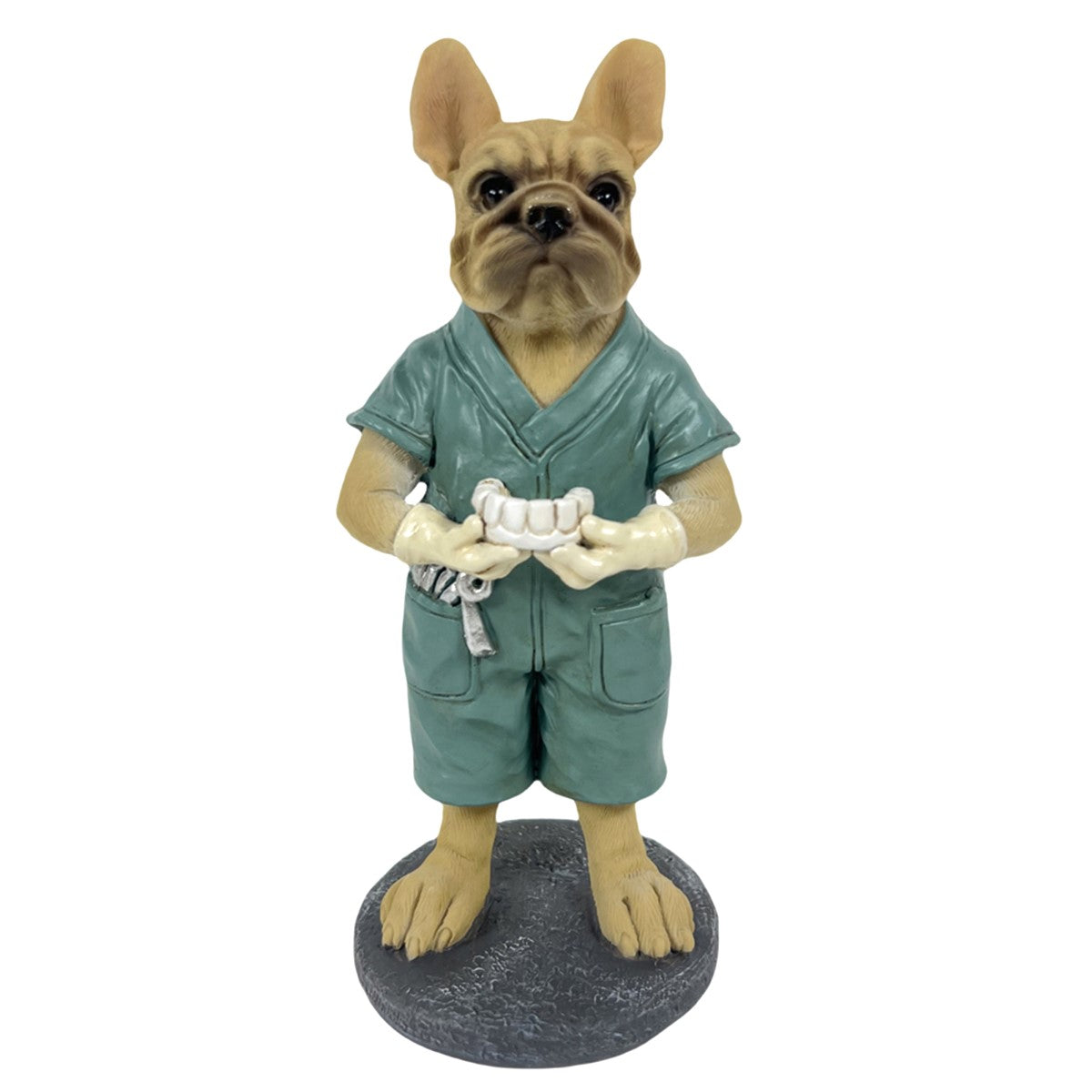 Perro Bulldog Dentista