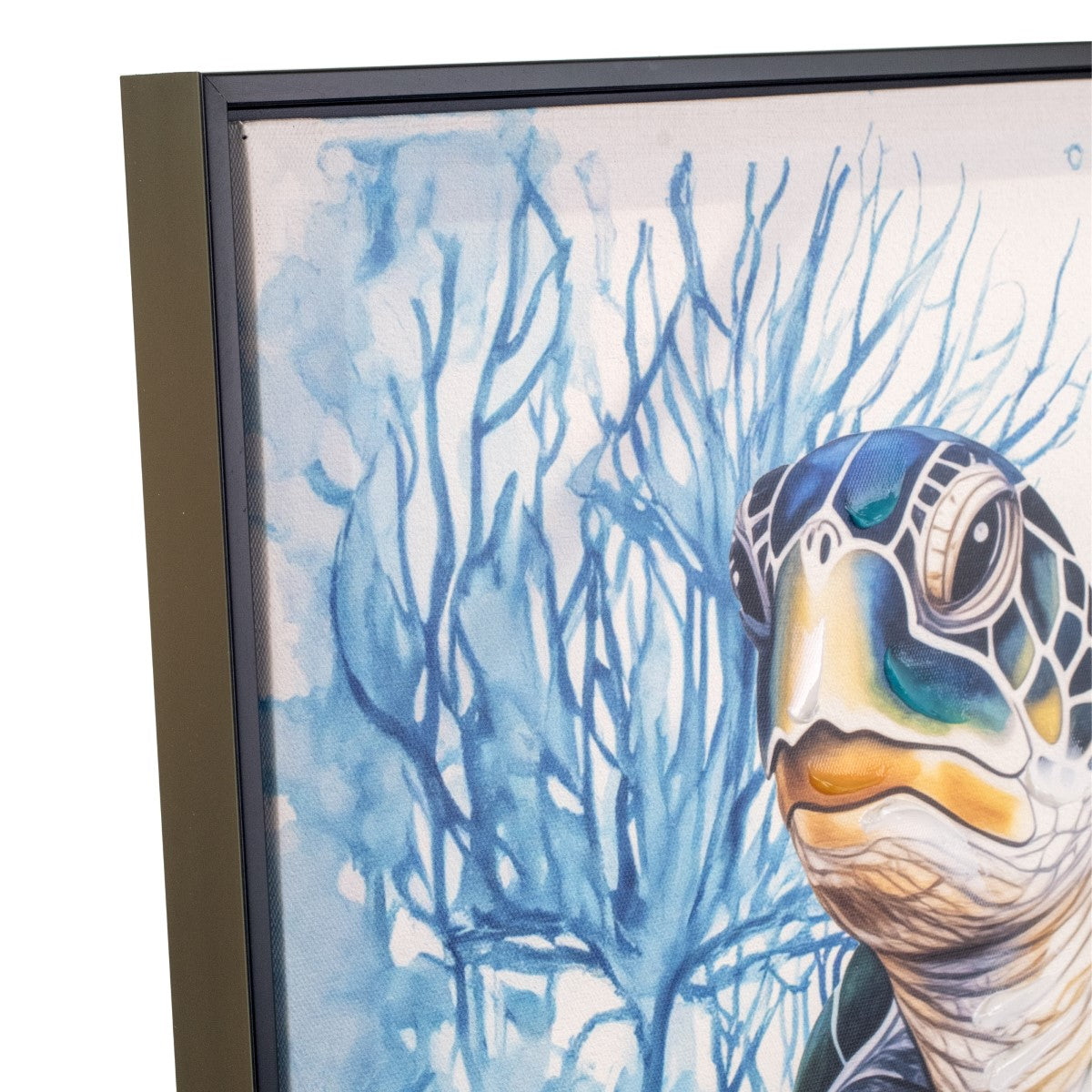 Cuadro Tortuga 62X62Cm