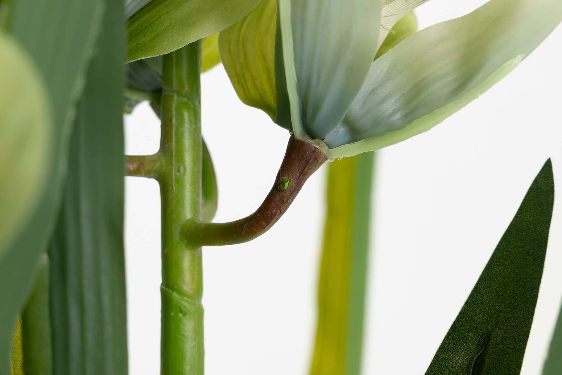 PLANTA ORQUÍDEA CYMBIDIUM 70x70x110 CM