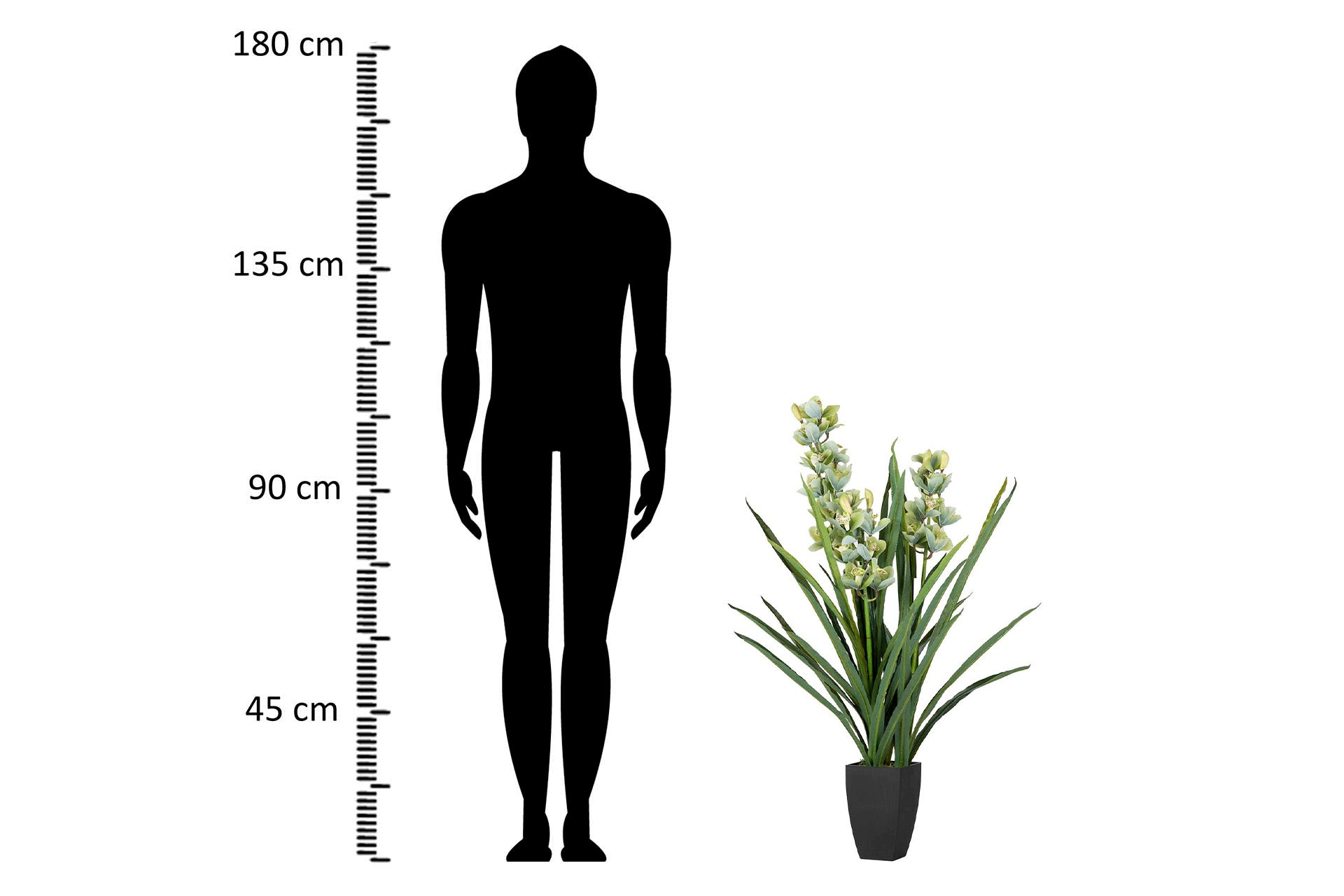 PLANTA ORQUÍDEA CYMBIDIUM 70x70x110 CM