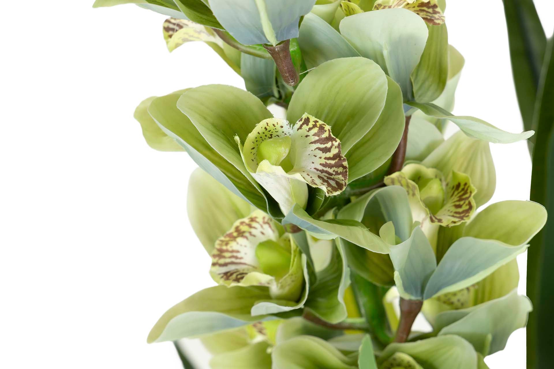 PLANTA ORQUÍDEA CYMBIDIUM 70x70x110 CM