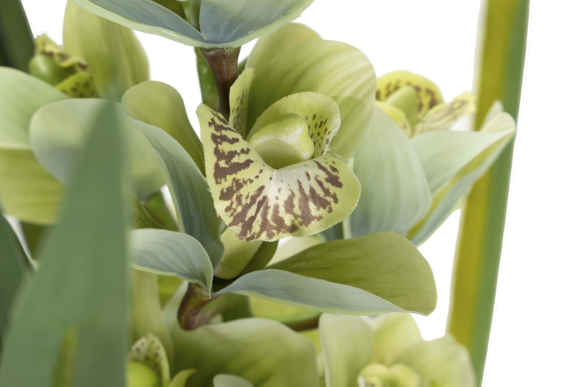PLANTA ORQUÍDEA CYMBIDIUM 70x70x110 CM