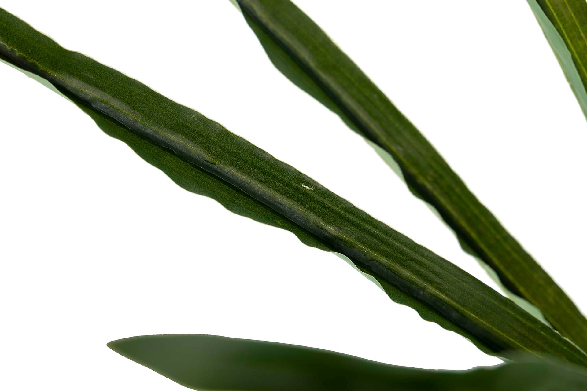 PLANTA ORQUÍDEA CYMBIDIUM 70x70x110 CM