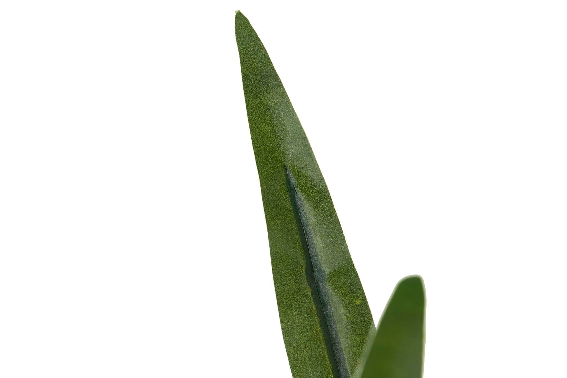 PLANTA ORQUÍDEA CYMBIDIUM 70x70x110 CM