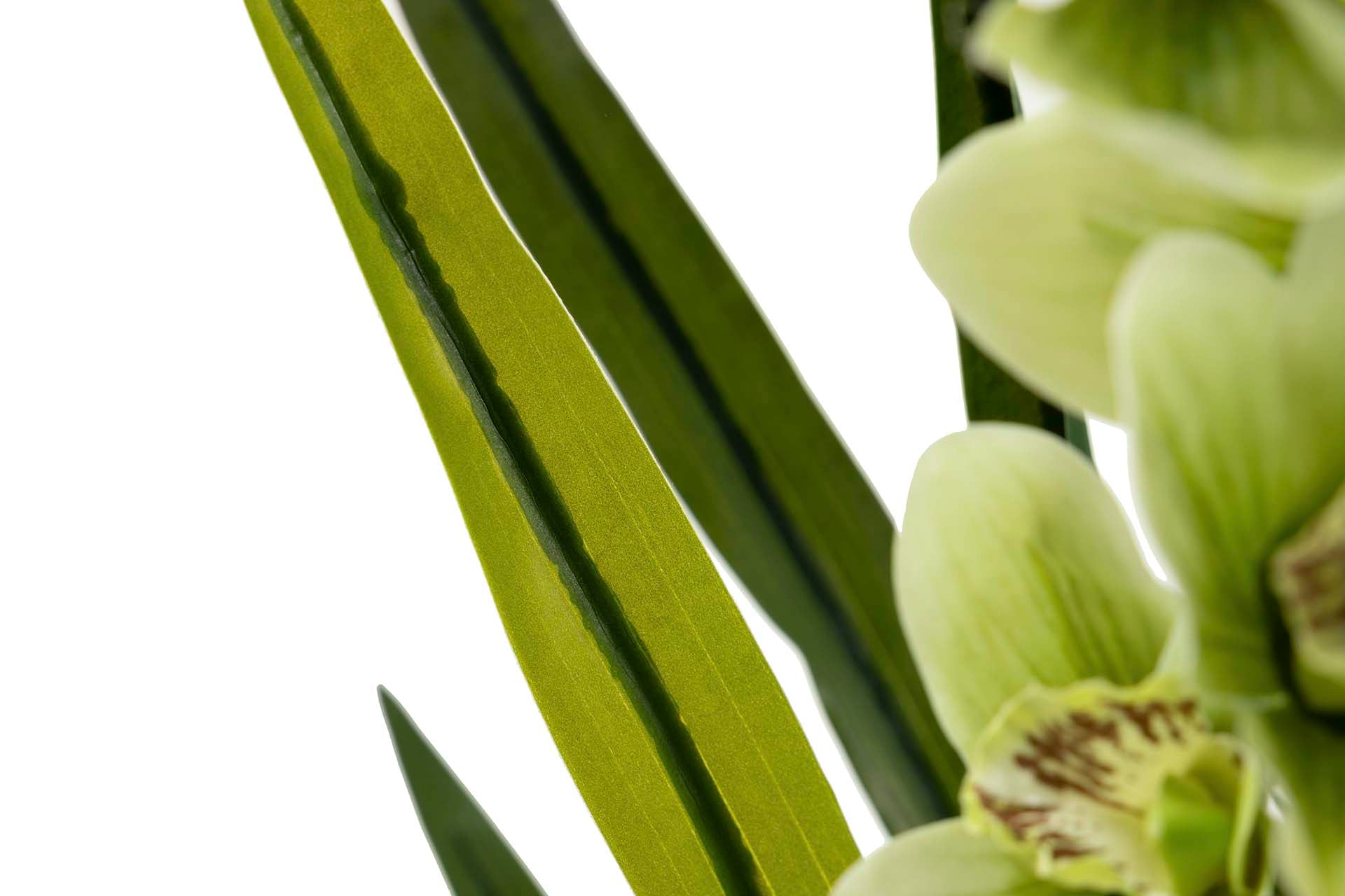 PLANTA ORQUÍDEA CYMBIDIUM 70x70x110 CM