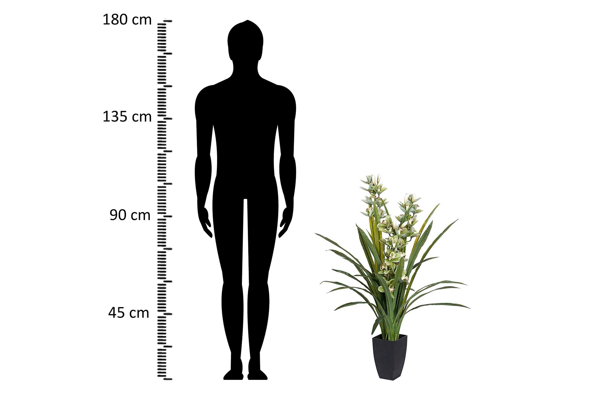 PLANTA ORQUÍDEA CYMBIDIUM 70x70x110 CM