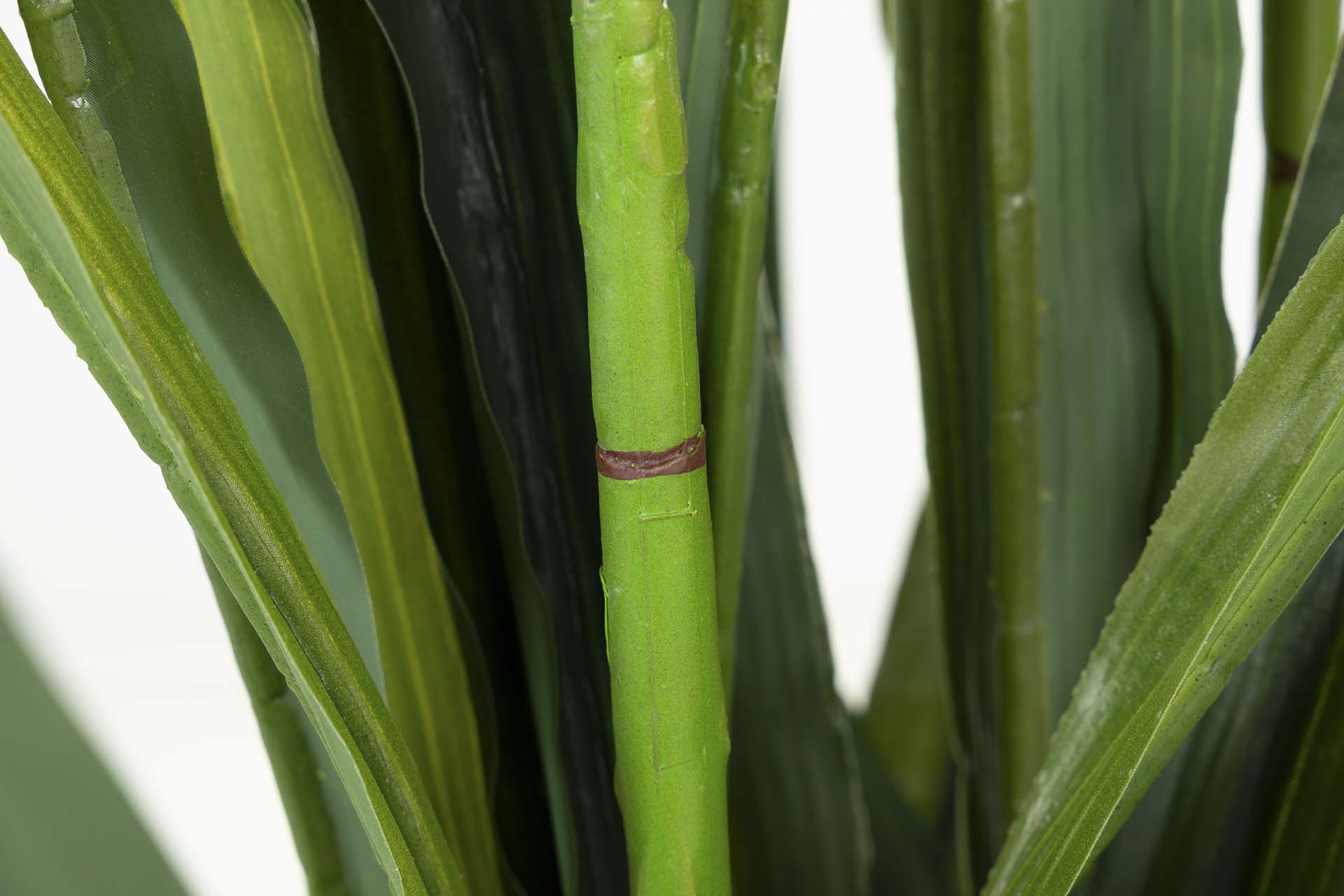 PLANTA ORQUÍDEA CYMBIDIUM 70x70x110 CM