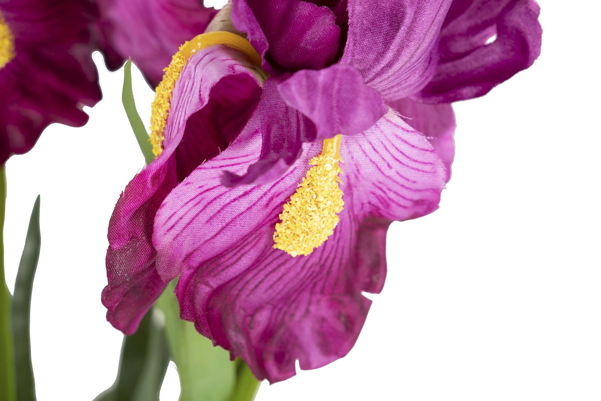 PLANTA DE ORQUÍDEA CATTLEYA 60x60x70 CM