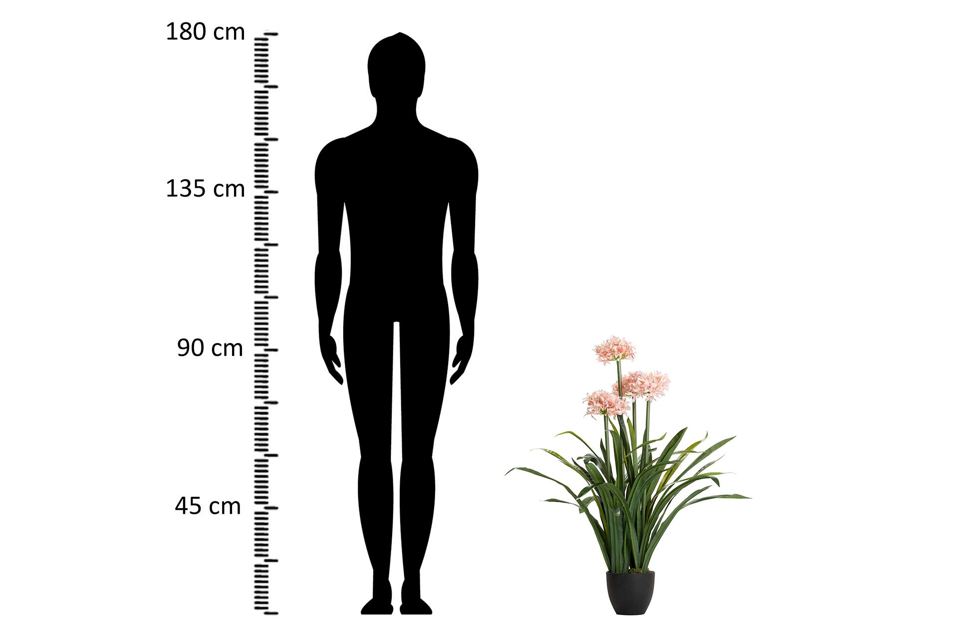 PLANTA NARCISO 70x70x100 CM