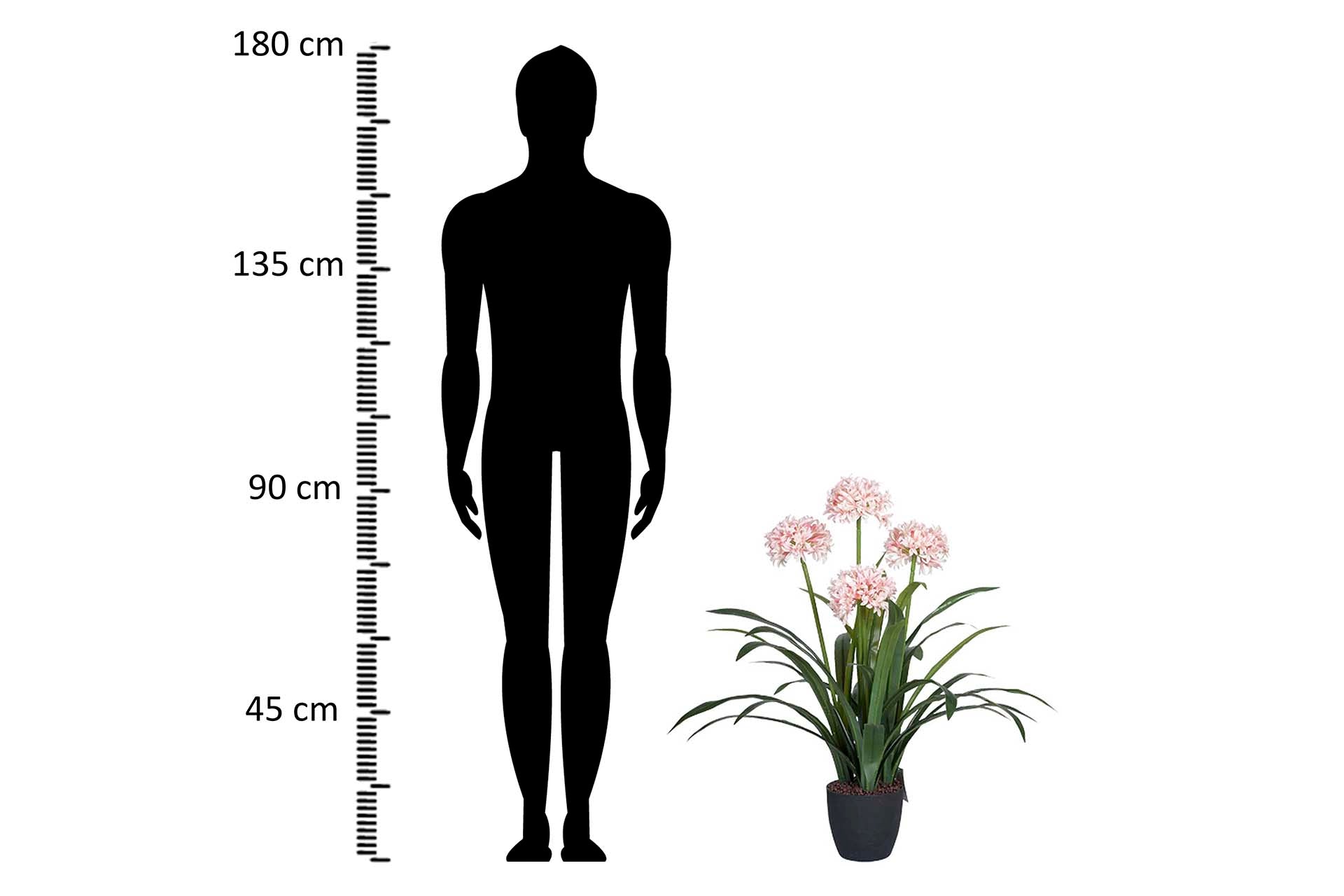 PLANTA NARCISO 70x70x100 CM