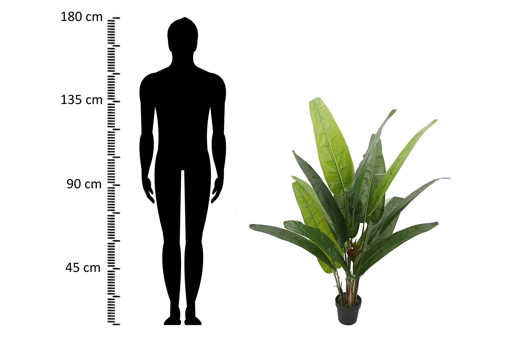 ÁRVORE DO VIAJANTE 80x80x140 CM