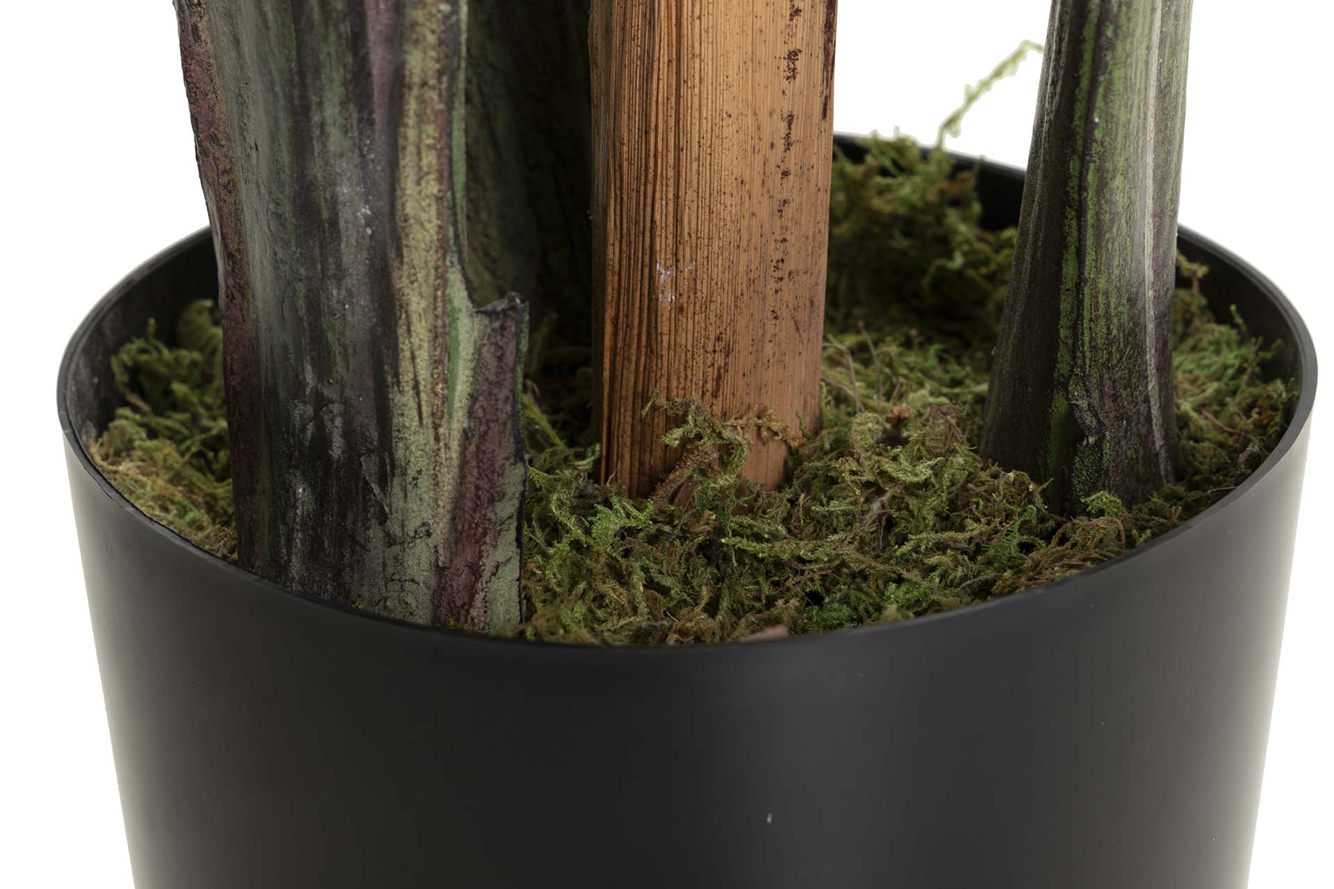 PLANTA PARAÍSO 65x65x193 CM