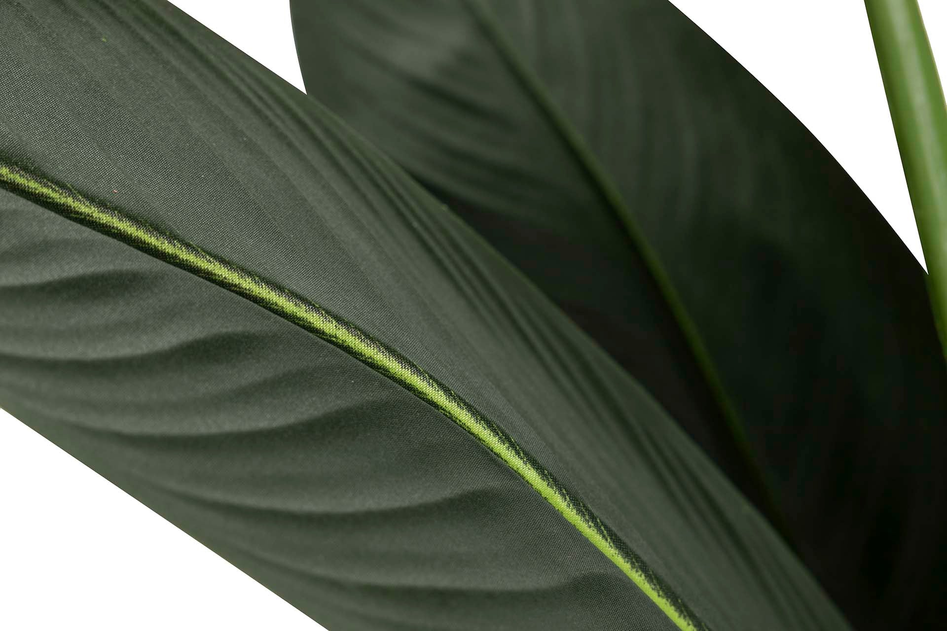 PLANTA PARAÍSO 65x65x193 CM
