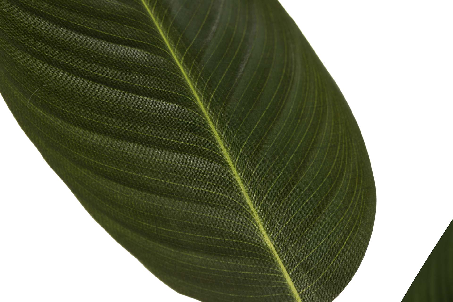 PLANTA PARAÍSO 65x65x193 CM
