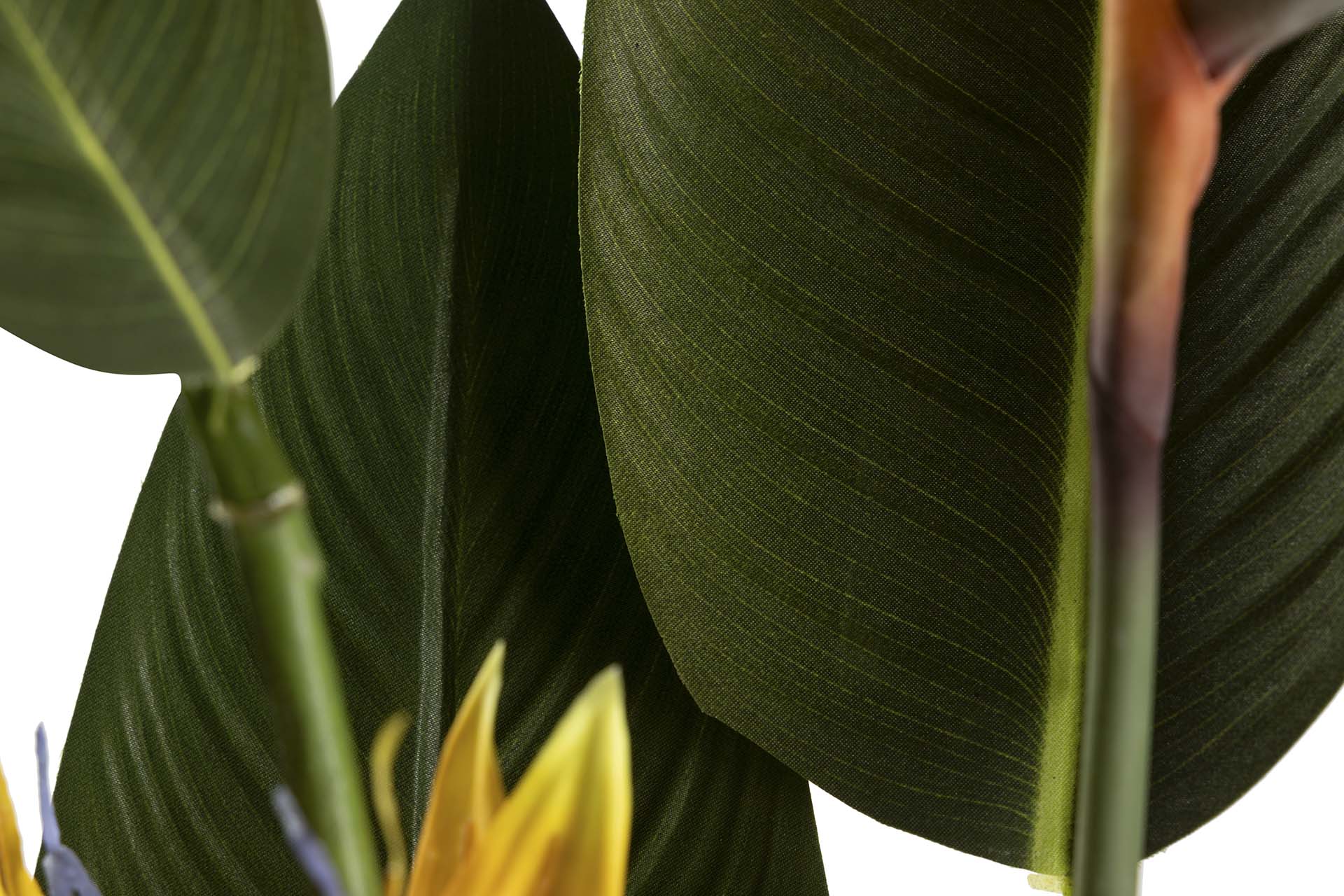 PLANTA PARAÍSO 65x65x193 CM
