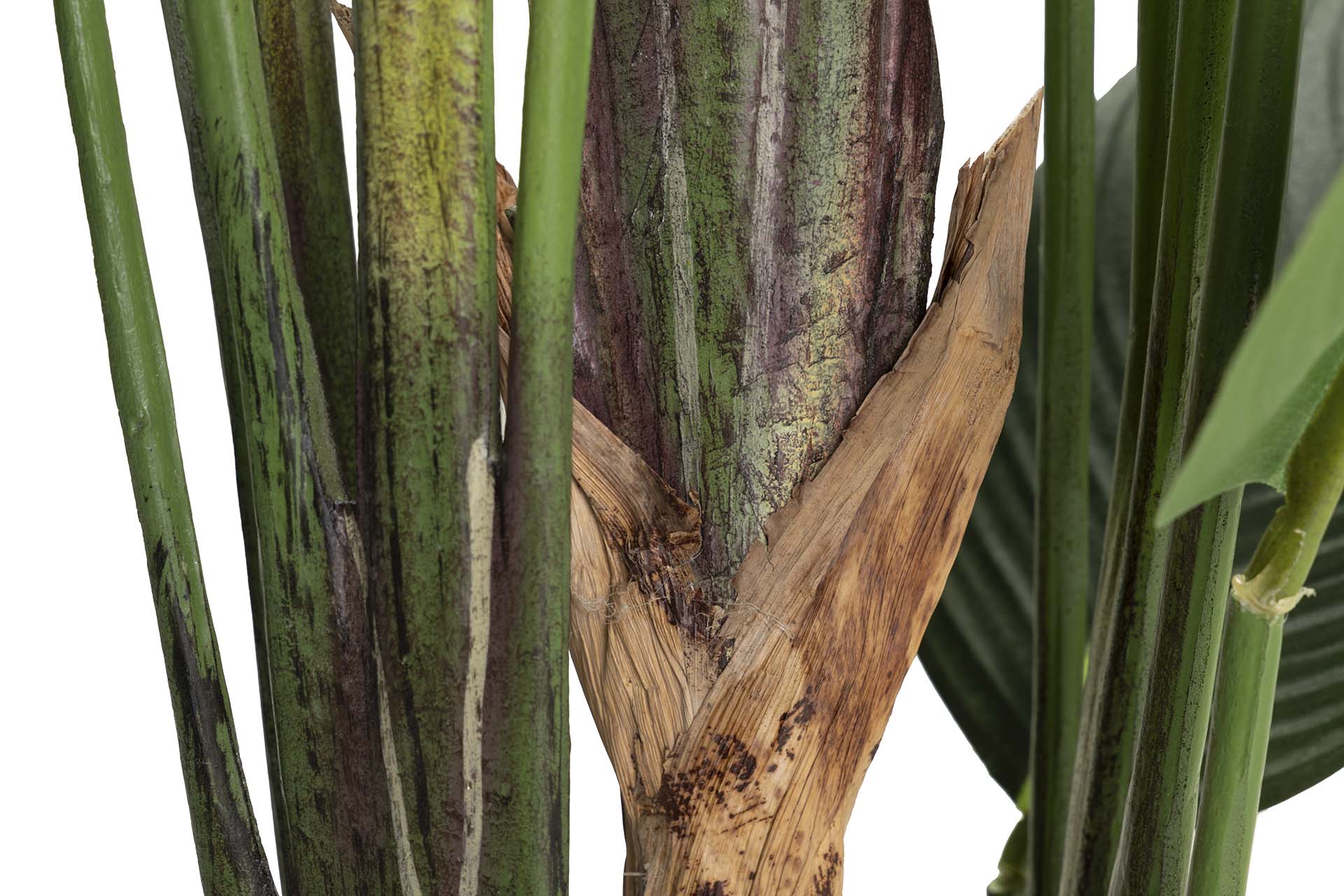 PLANTA PARAÍSO 65x65x193 CM