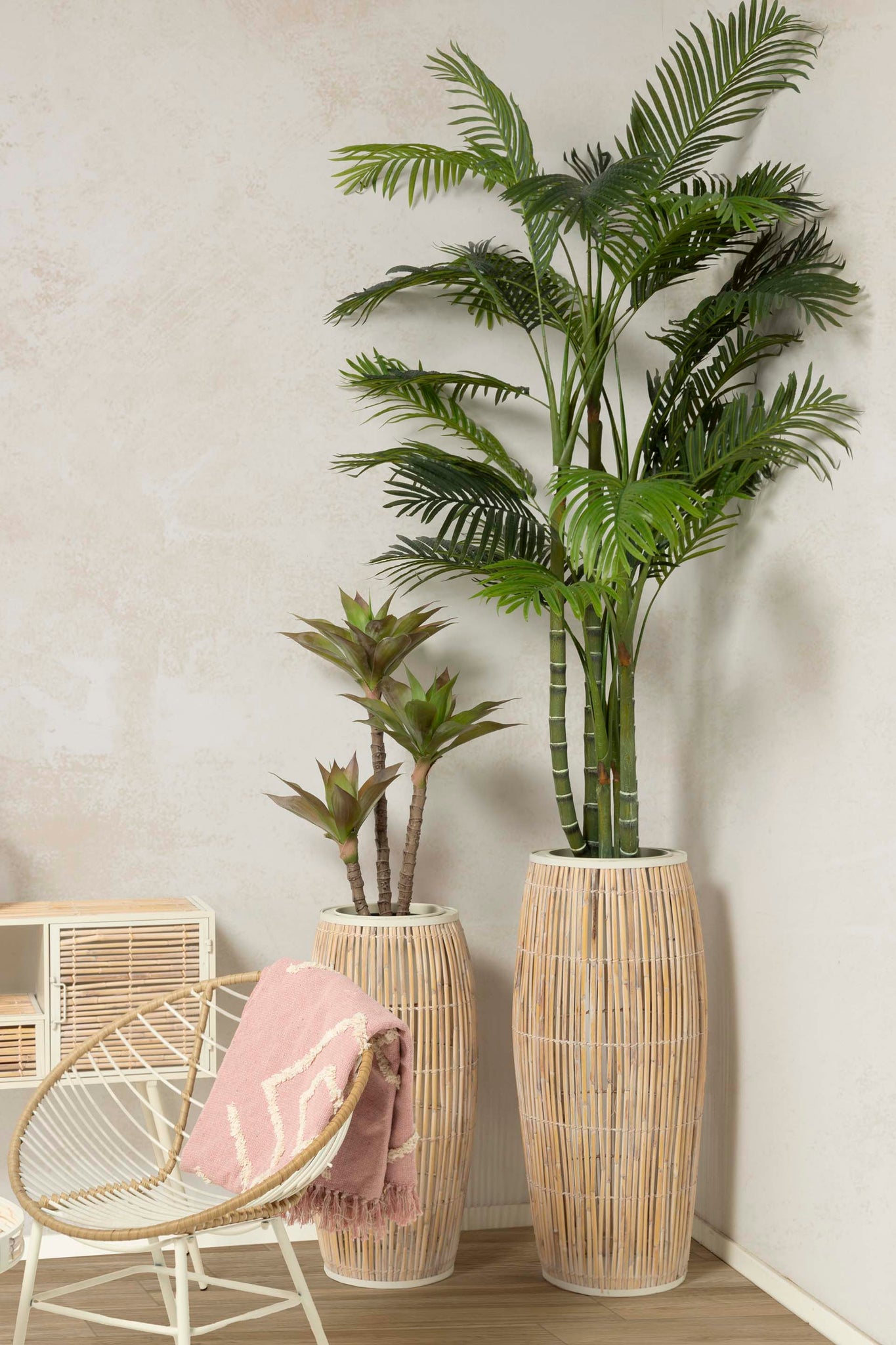 PLANTA DE PALMEIRA ARECA 110x110x190 CM