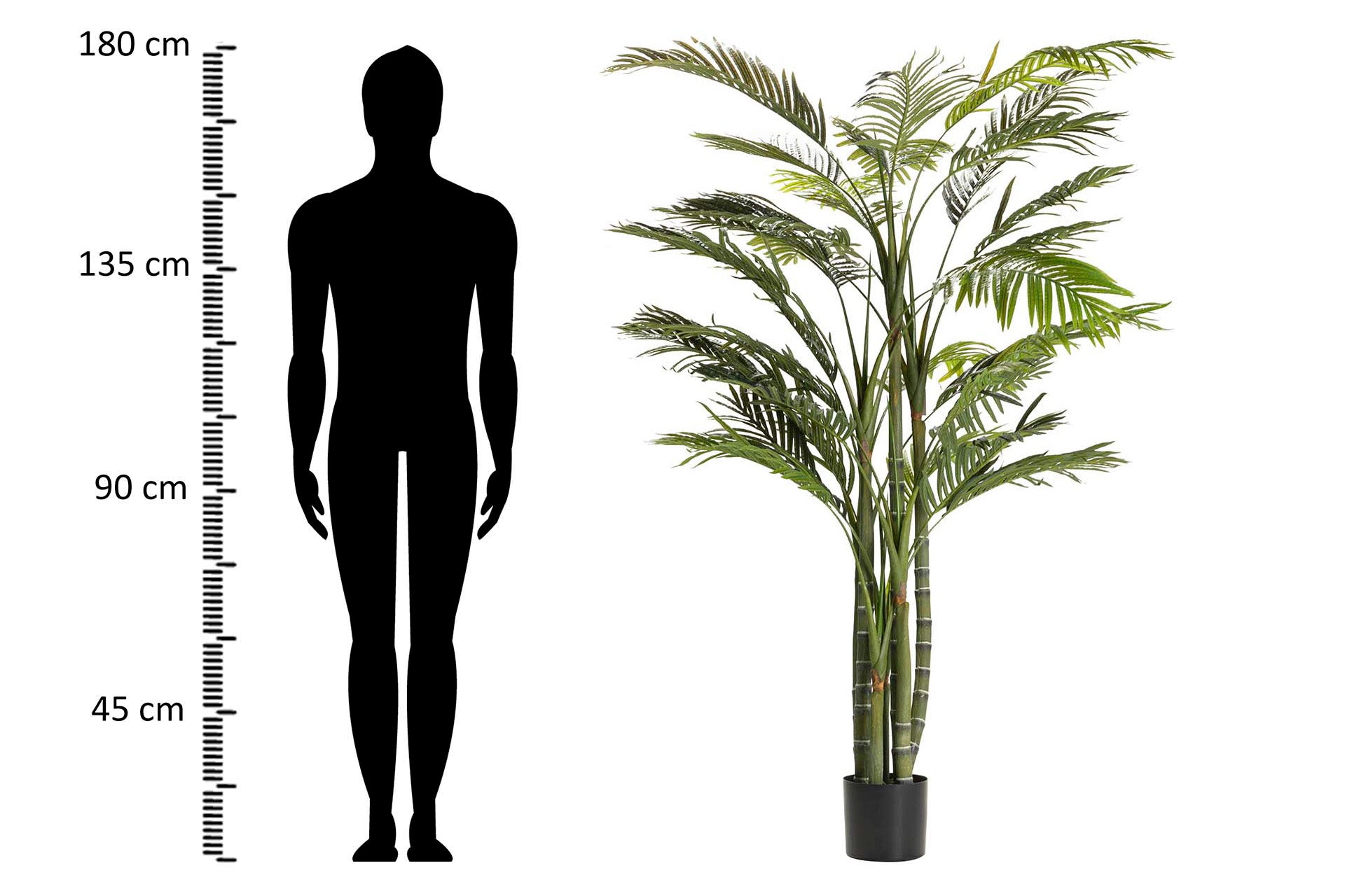 PLANTA DE PALMEIRA ARECA 110x110x190 CM