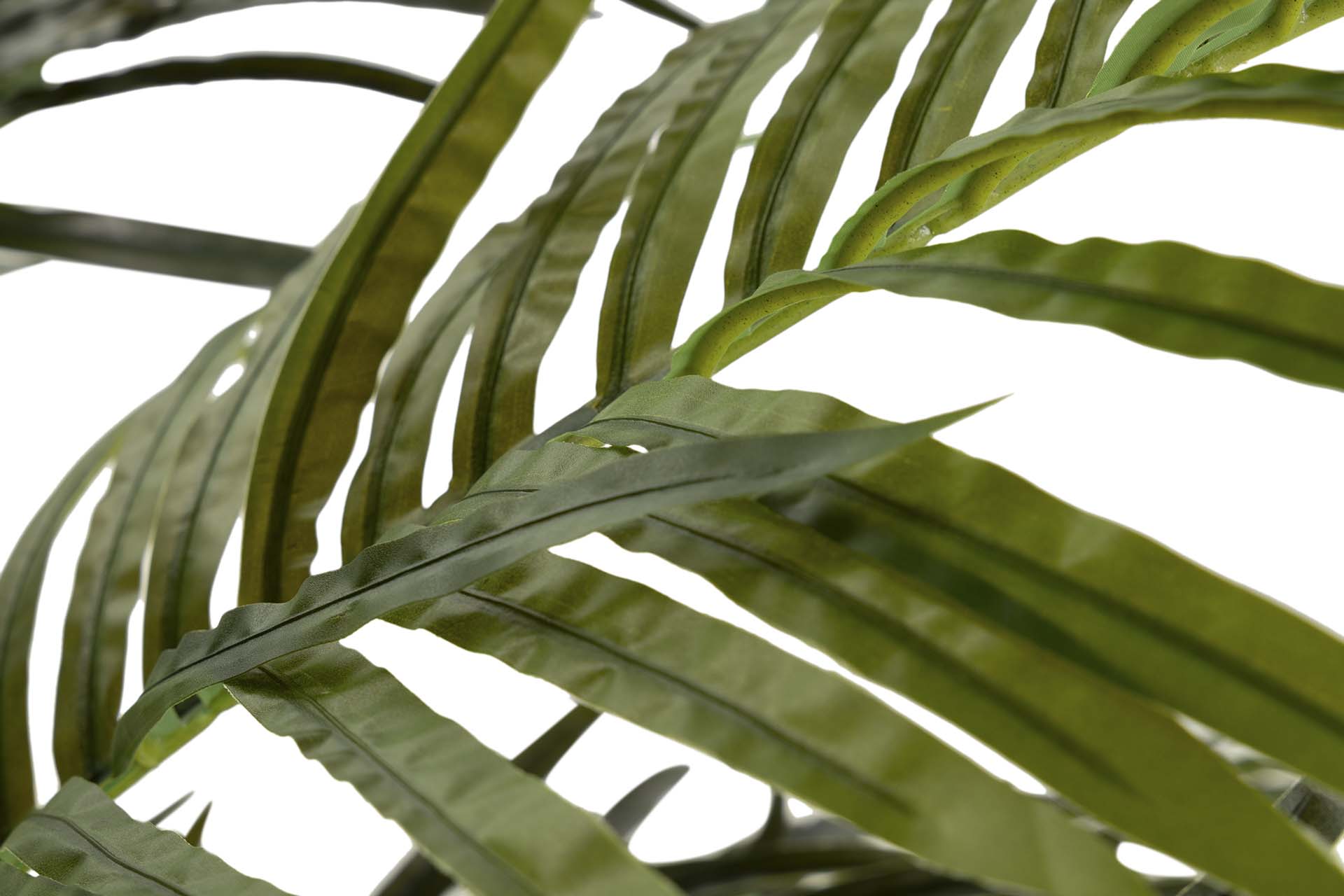 PLANTA DE PALMEIRA ARECA 110x110x190 CM