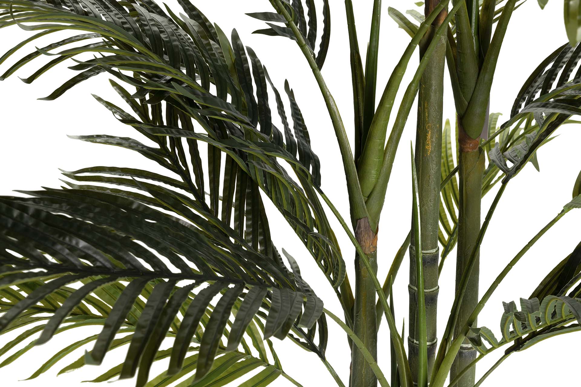 PLANTA DE PALMEIRA ARECA 110x110x190 CM