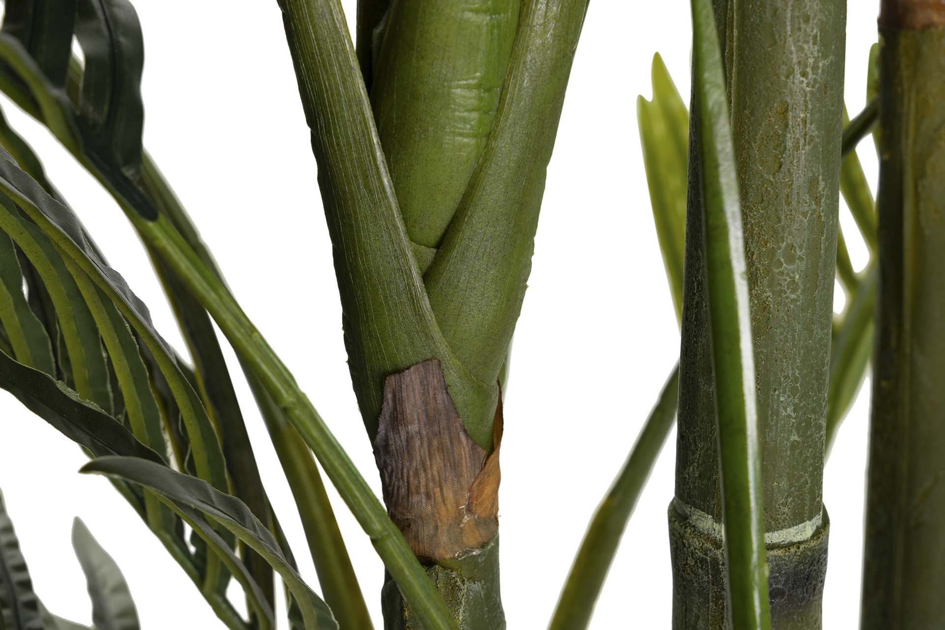 PLANTA DE PALMEIRA ARECA 110x110x190 CM