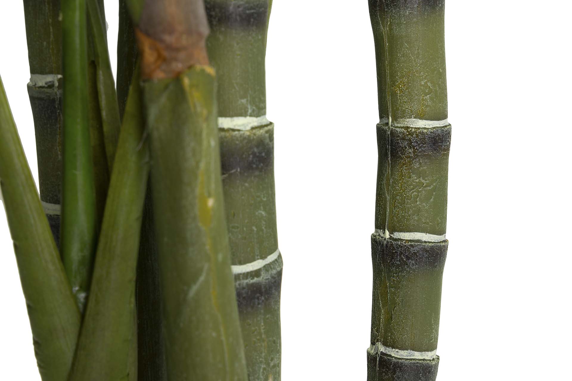 PLANTA DE PALMEIRA ARECA 110x110x190 CM