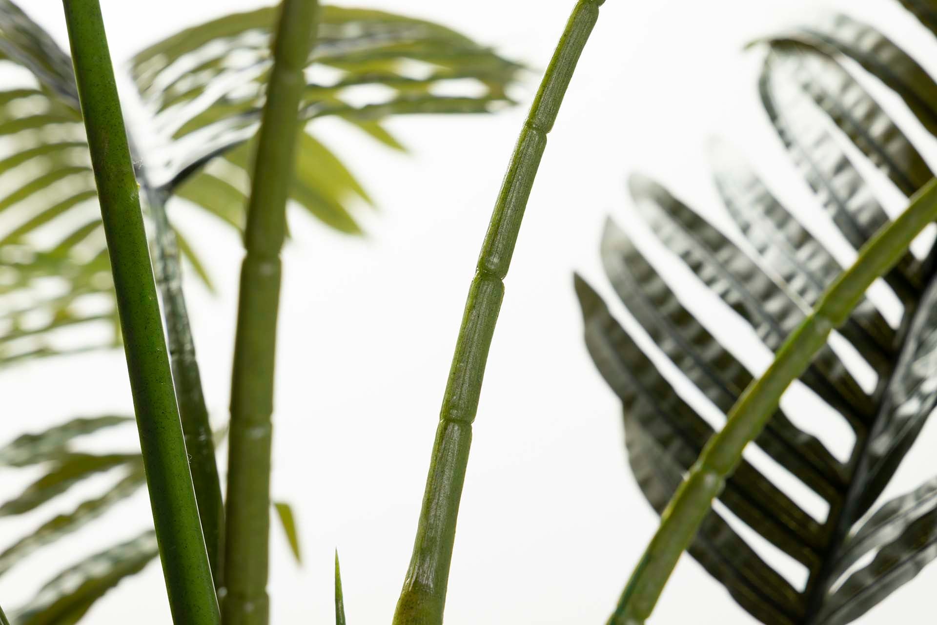 PLANTA PALMERA ARECA 110x110x190 CM