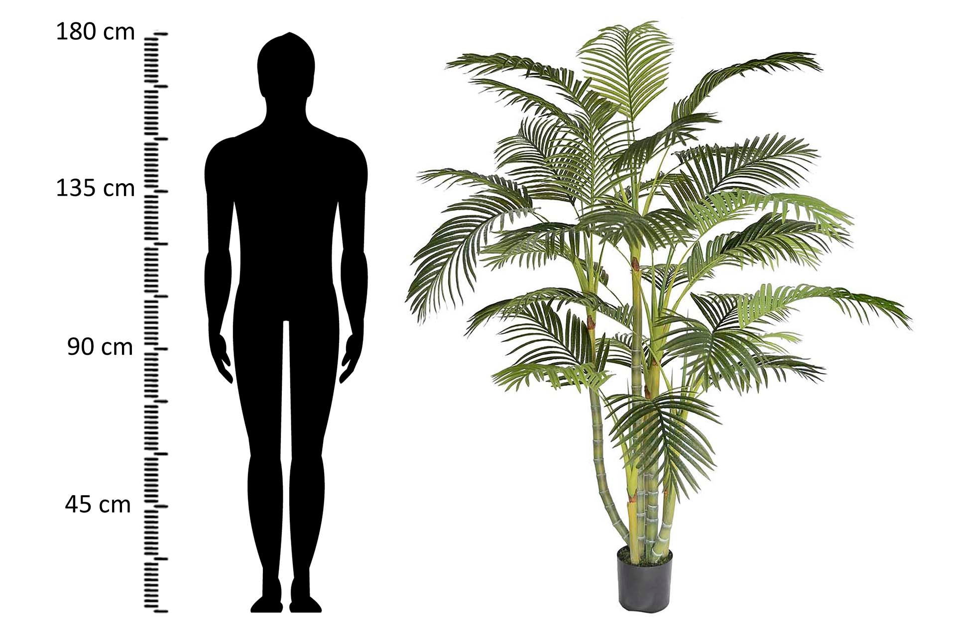 PLANTA DE PALMEIRA ARECA 110x110x190 CM